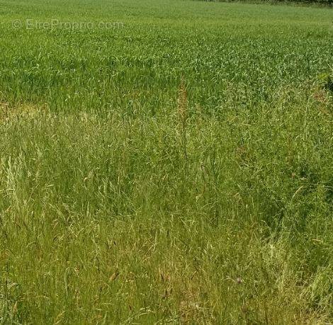 Terrain à BASSE-GOULAINE