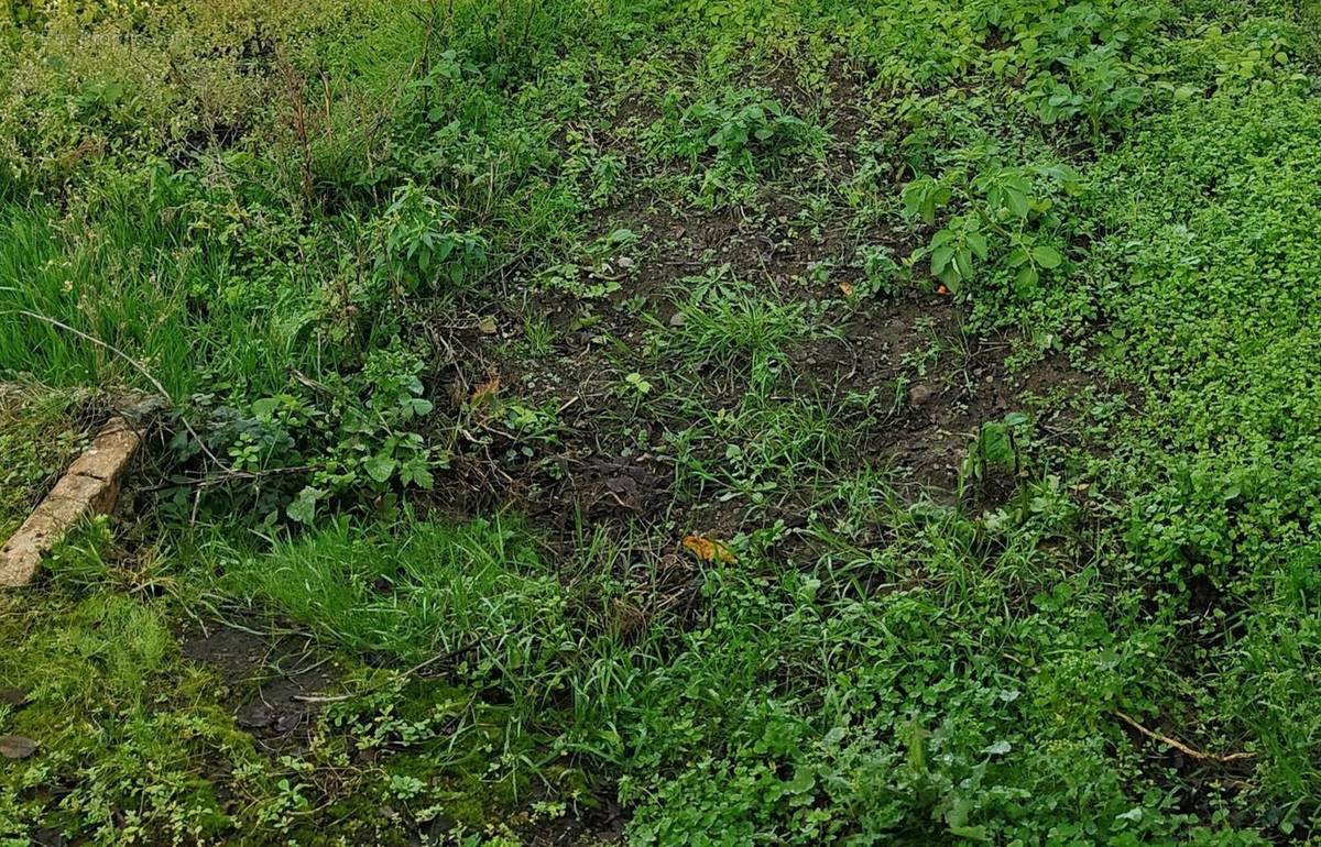 Terrain à MAUVES-SUR-LOIRE