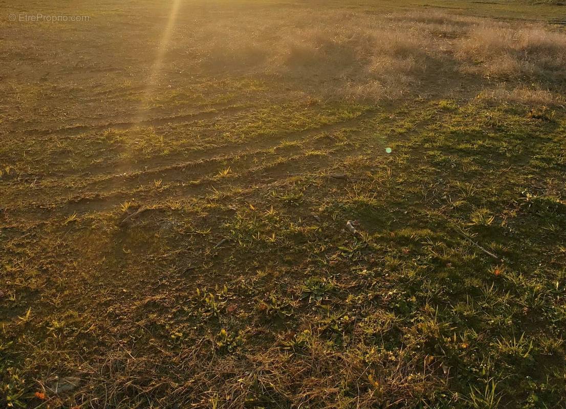 Terrain à LE BIGNON