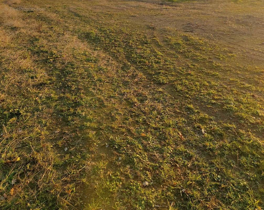 Terrain à LA HAIE-FOUASSIERE