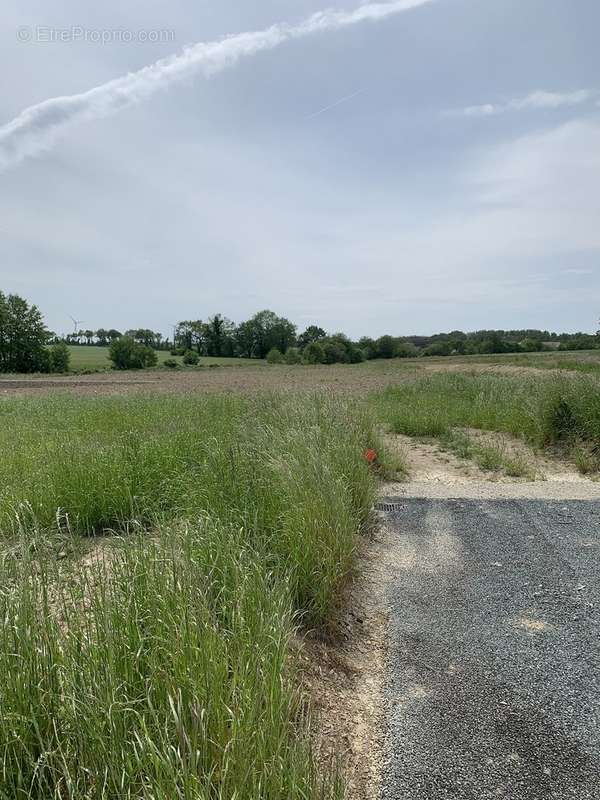 Terrain à TOUVOIS