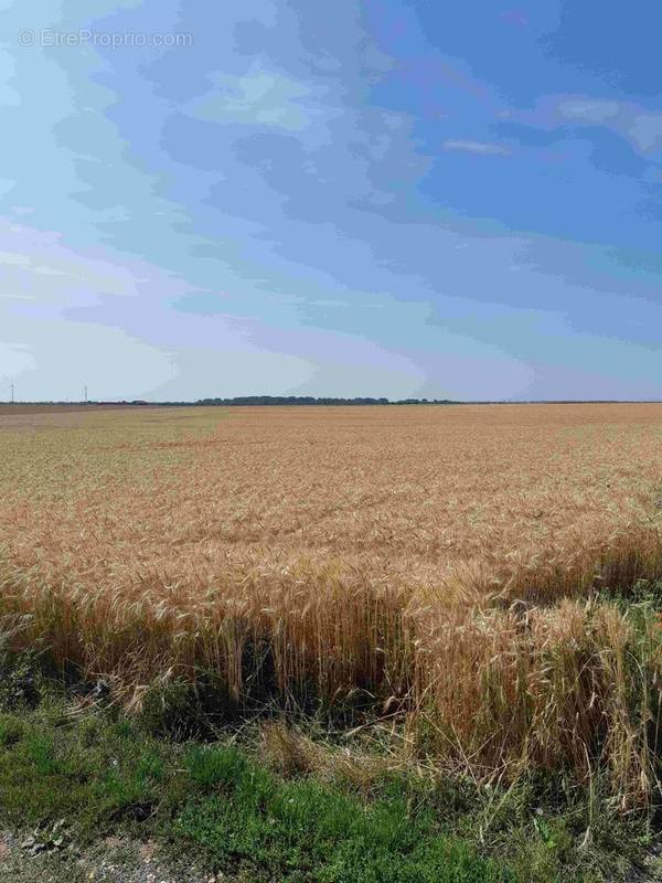 Terrain à TOUVOIS