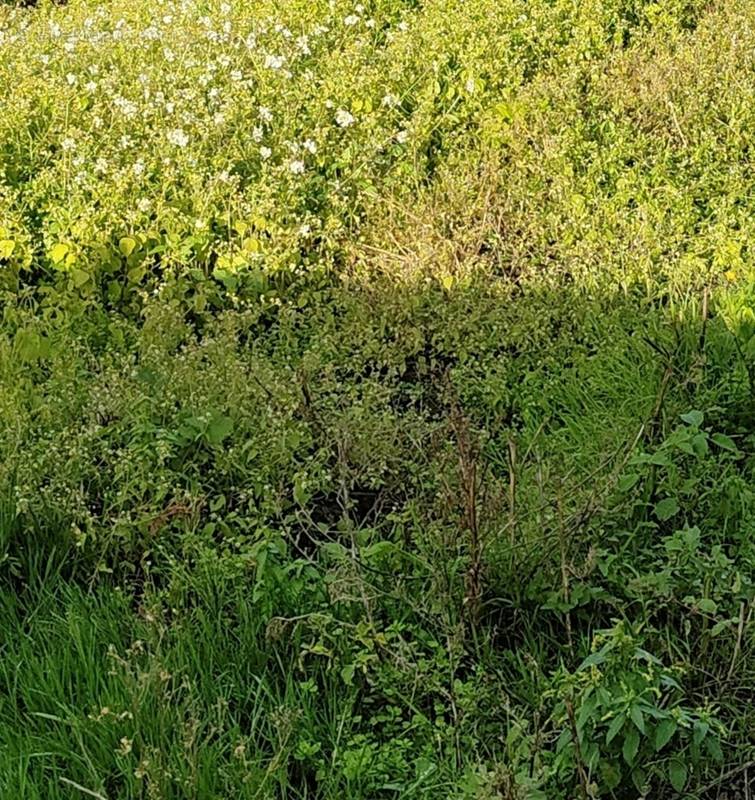 Terrain à BOUAYE