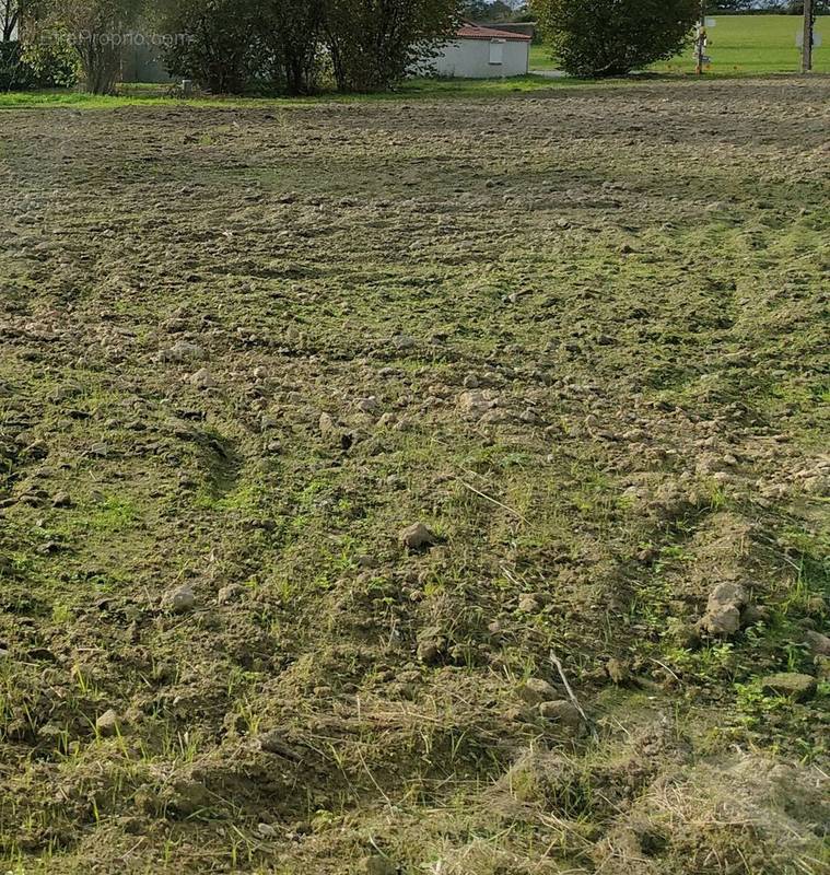 Terrain à VALLET