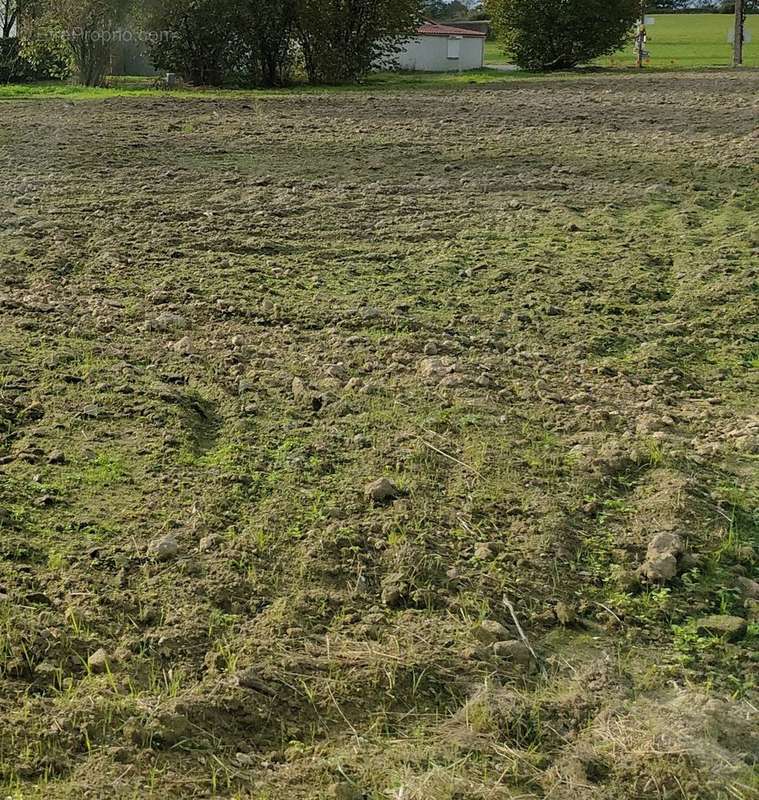 Terrain à VALLET