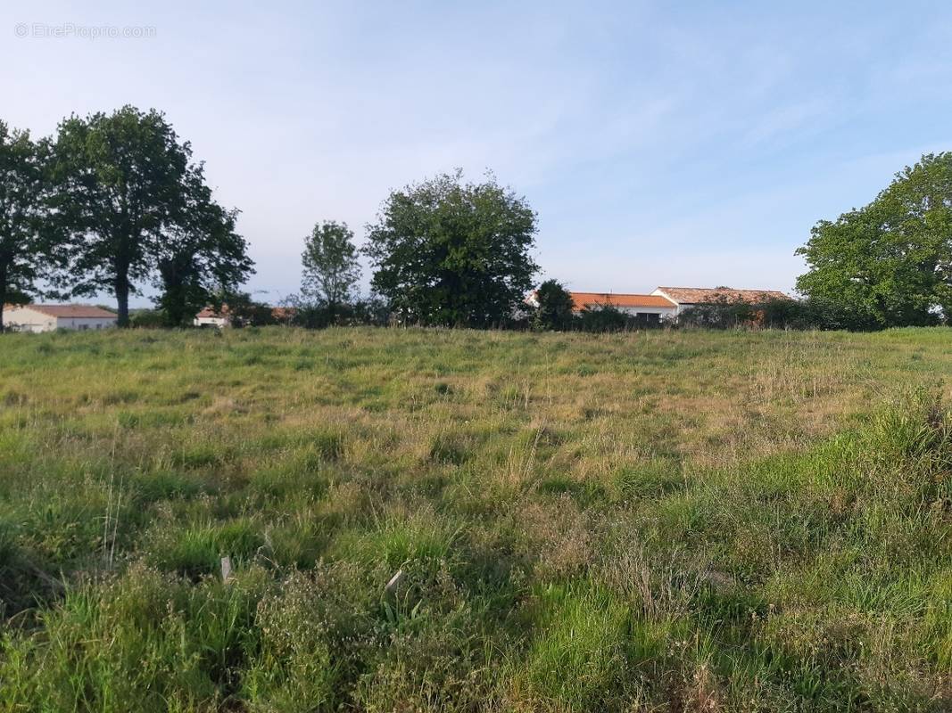 Terrain à SAINTE-PAZANNE