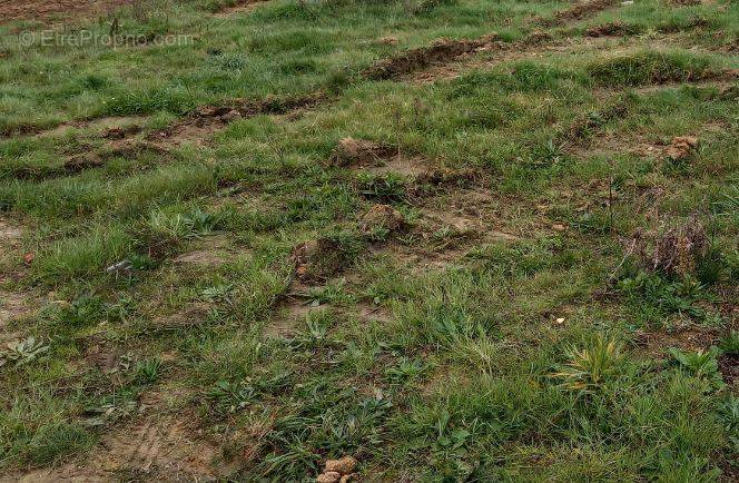 Terrain à LA PLAINE-SUR-MER