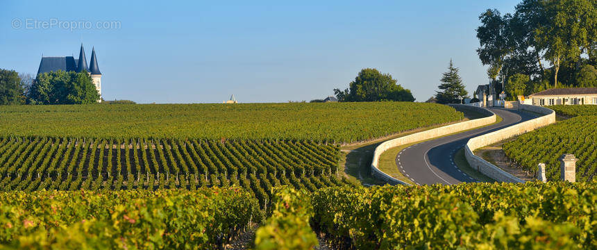 Terrain à LUDON-MEDOC