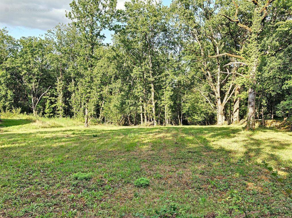 Terrain à SAINT-AUBIN-DE-MEDOC