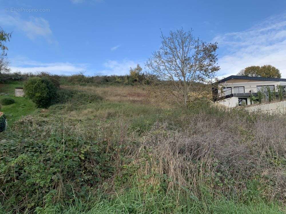 Terrain à FONTENAY-LE-COMTE