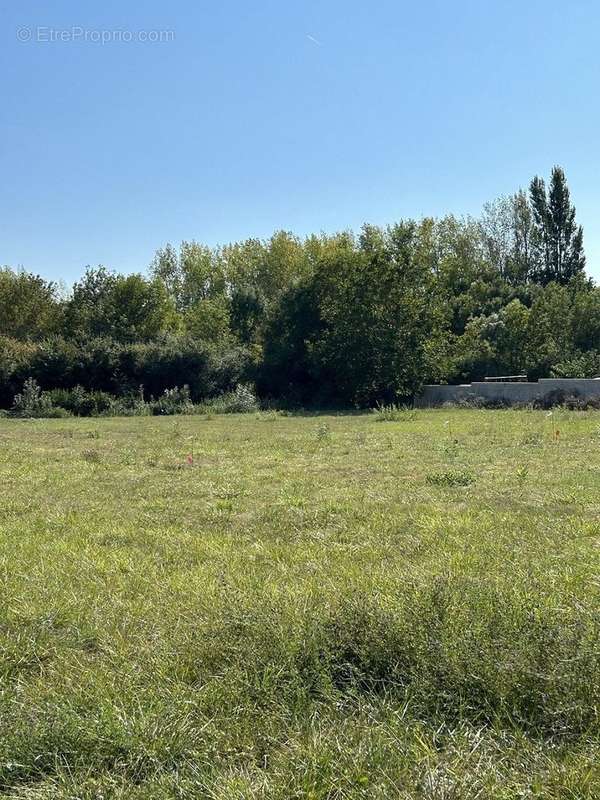 Terrain à SAINT-GEORGES-DU-BOIS