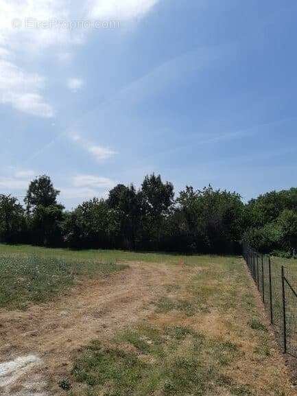 Terrain à SALLES-SUR-MER