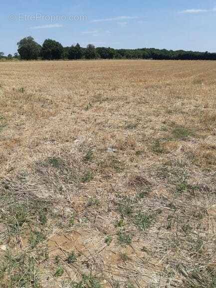 Terrain à SAINT-MEDARD-D&#039;AUNIS