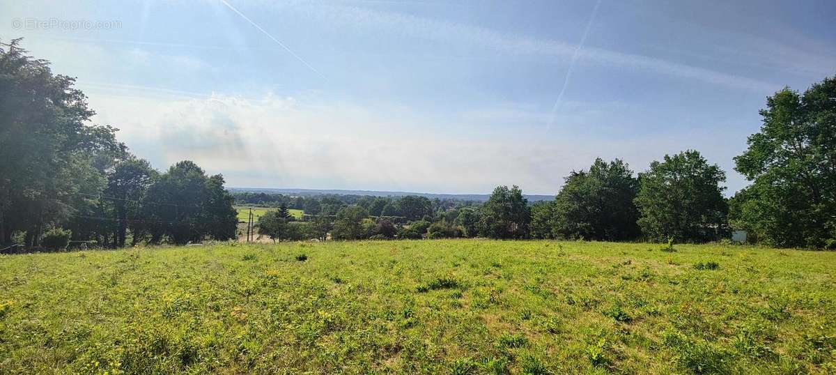 Terrain à SAINT-MEDARD-DE-MUSSIDAN