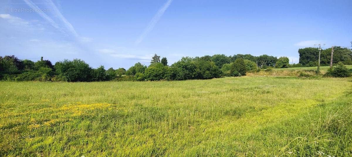 Terrain à SAINT-MEDARD-DE-MUSSIDAN