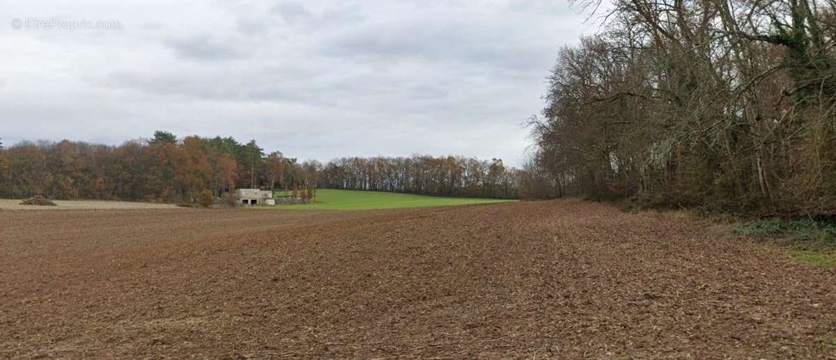 Terrain à BASSILLAC