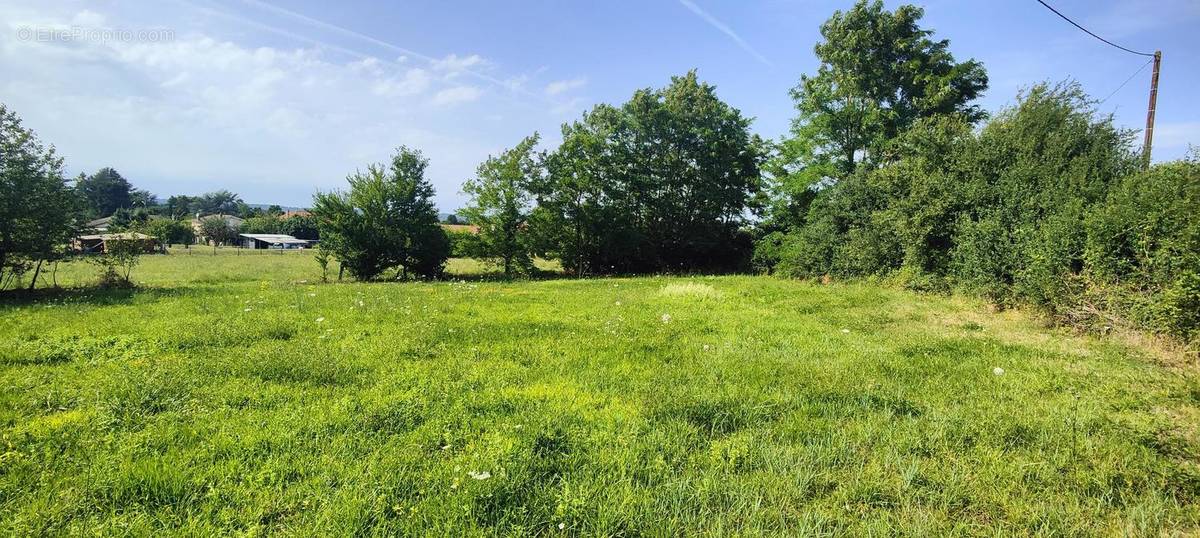 Terrain à SAINT-MEDARD-DE-MUSSIDAN