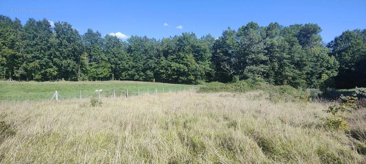 Terrain à CHAMPCEVINEL