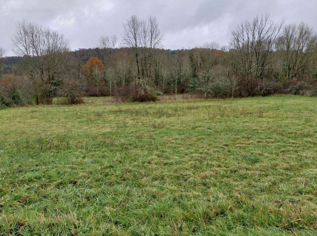 Terrain à CHATEAU-L&#039;EVEQUE