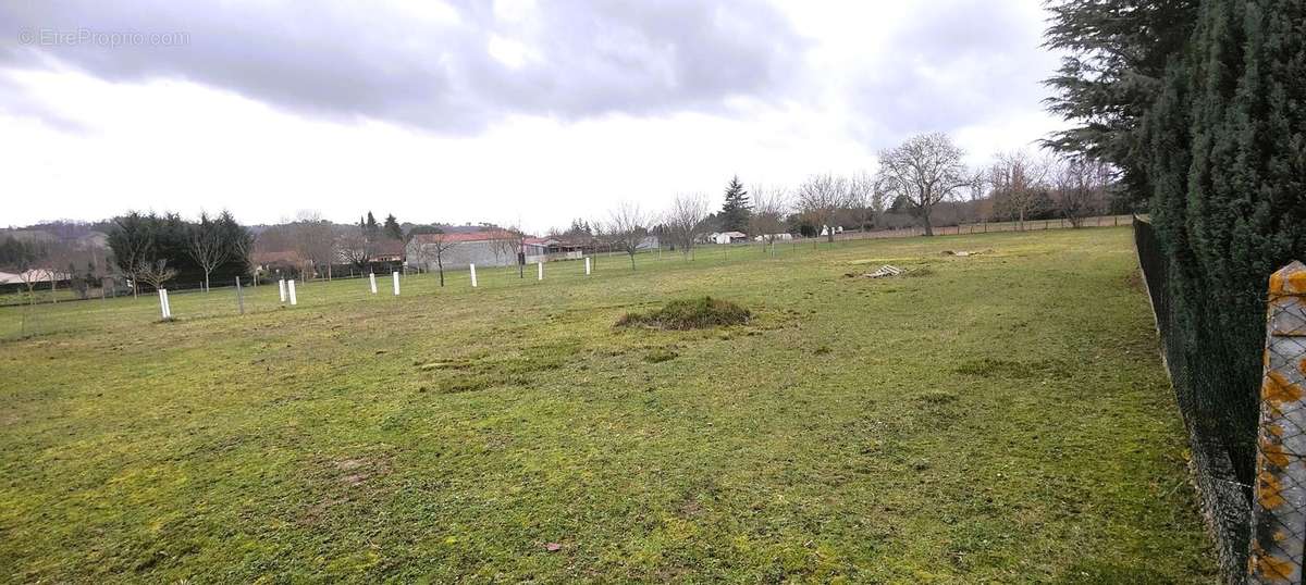 Terrain à SAINT-LEON-SUR-L&#039;ISLE