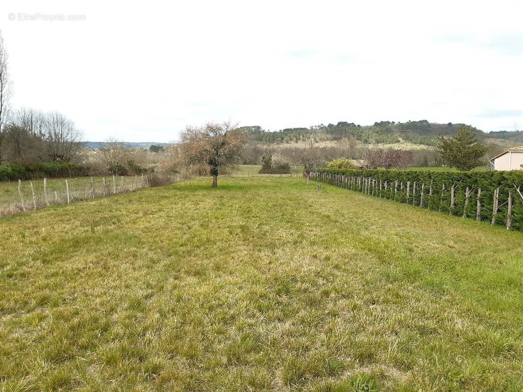 Terrain à VALLEREUIL