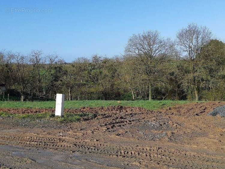 Terrain à LA MOTHE-ACHARD