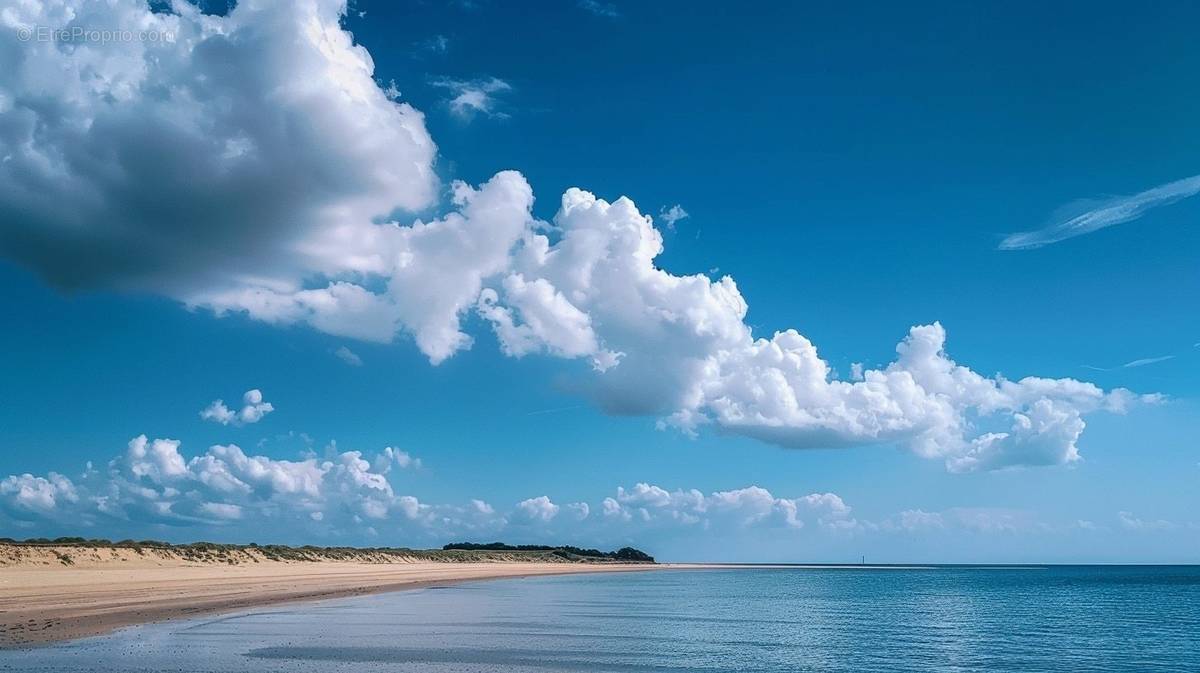 Terrain à BEAUVOIR-SUR-MER