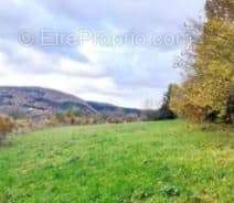 Terrain à NANS-SOUS-SAINTE-ANNE