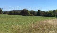 Terrain à MONTFERRAND-LE-CHATEAU