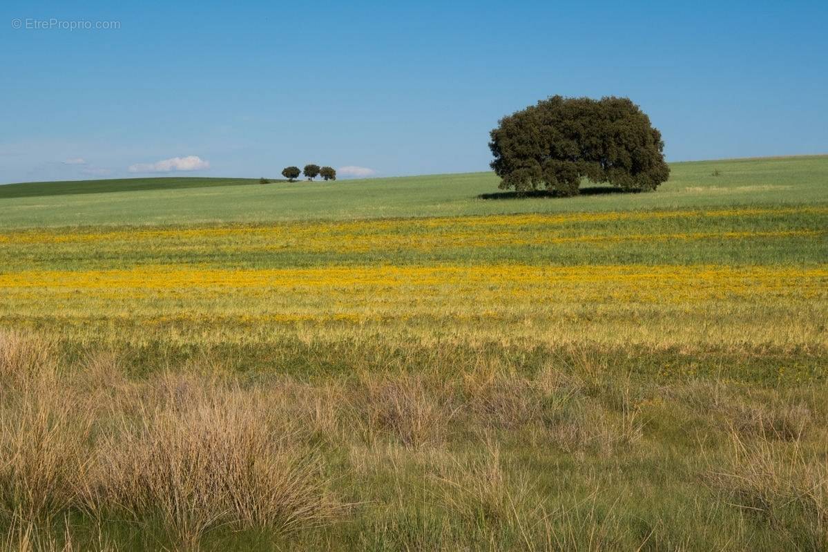 Terrain à MONTENOIS