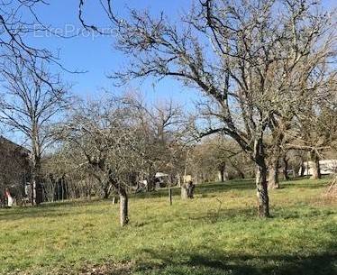 Terrain à SAVIGNAC-LES-EGLISES