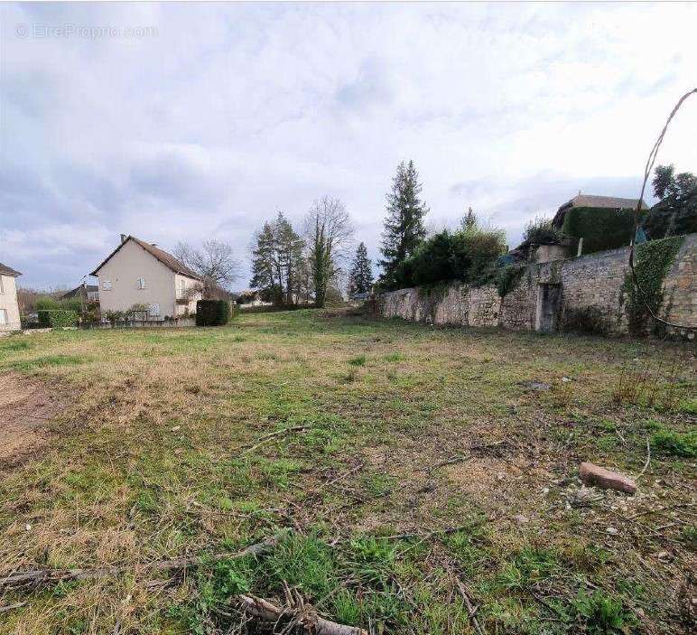 Terrain à SAINT-PANTALEON-DE-LARCHE