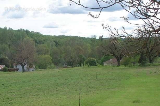 Terrain à PAUSSAC-ET-SAINT-VIVIEN