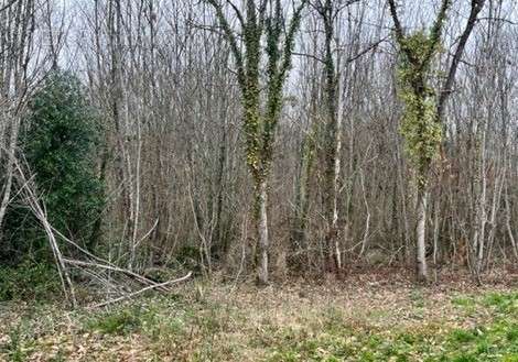 Terrain à RAZAC-SUR-L&#039;ISLE