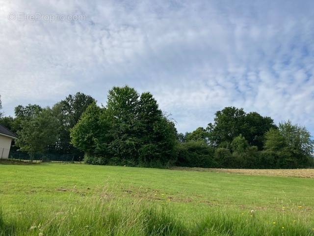 Terrain à ALBUSSAC