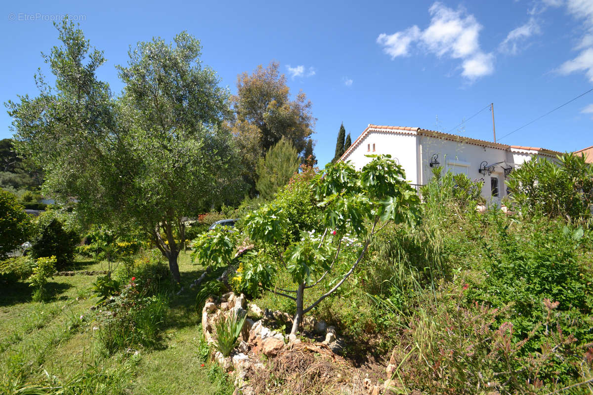 Maison à VALLAURIS