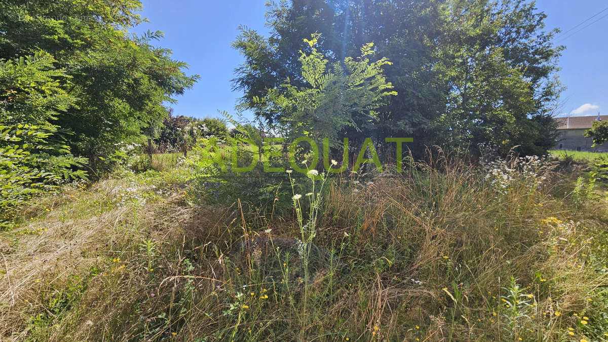 Terrain à LA BATIE-MONTGASCON