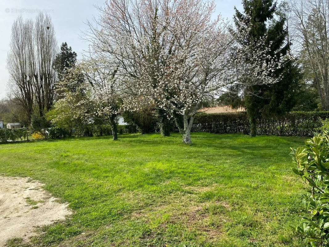 Terrain à LEOGNAN