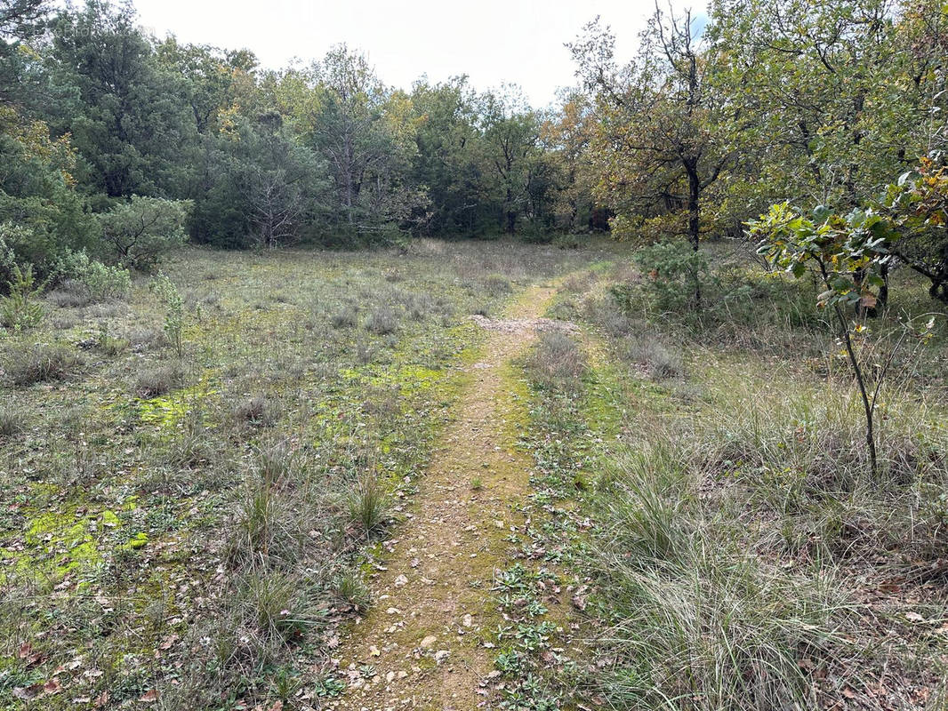 Terrain à SAINT-VALLIER-DE-THIEY