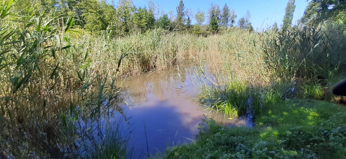 Terrain à VERDUN