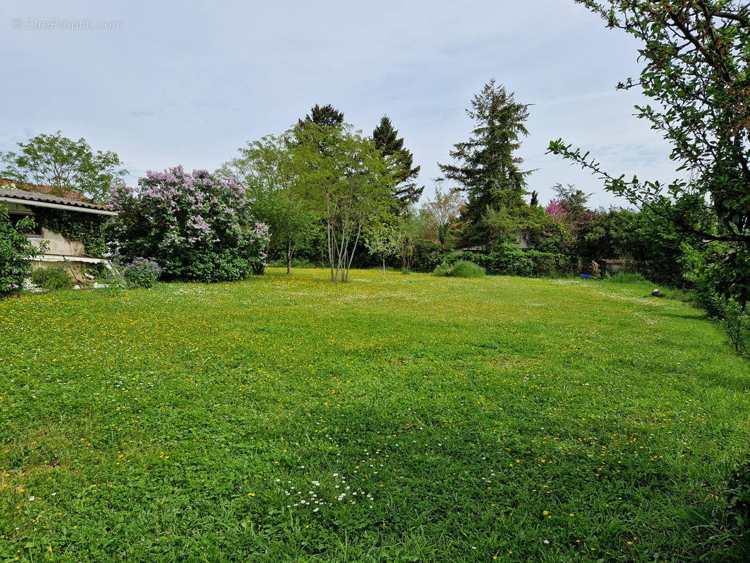 Terrain à CHATEAUNEUF-SUR-CHARENTE