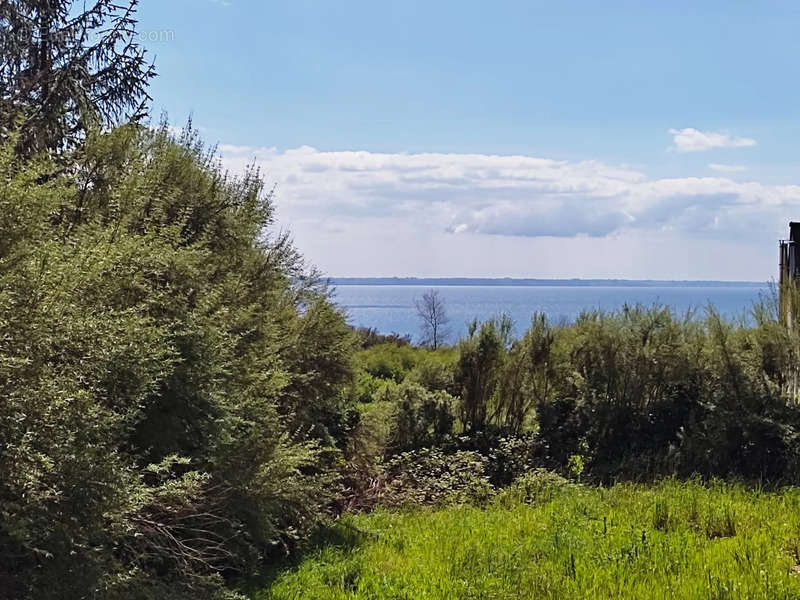 Terrain à TELGRUC-SUR-MER