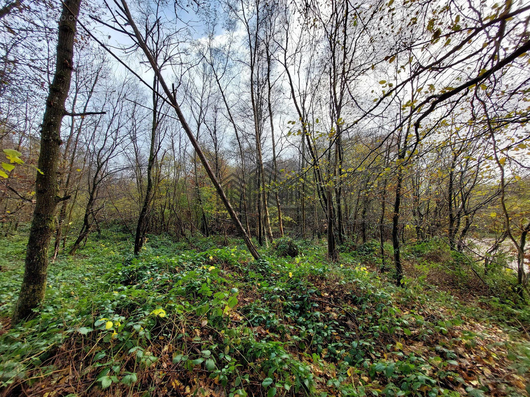 Terrain à VENON