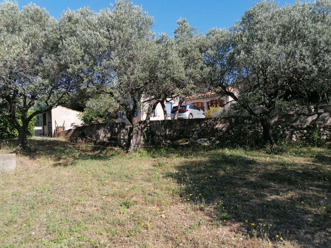 Maison à DRAGUIGNAN