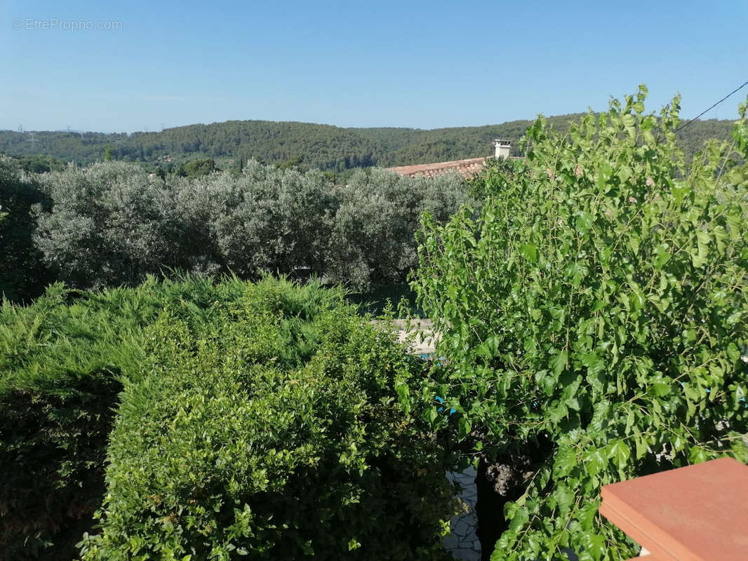 Maison à DRAGUIGNAN