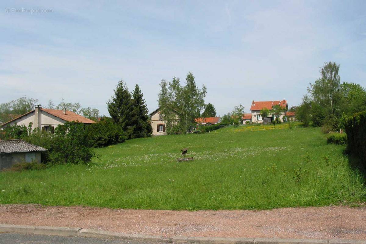 Terrain à MONTCEAU-LES-MINES