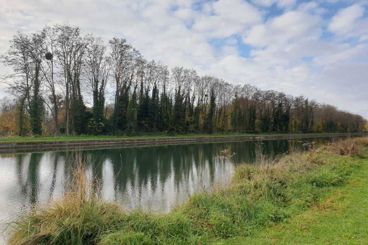 Terrain à BRIENON-SUR-ARMANCON