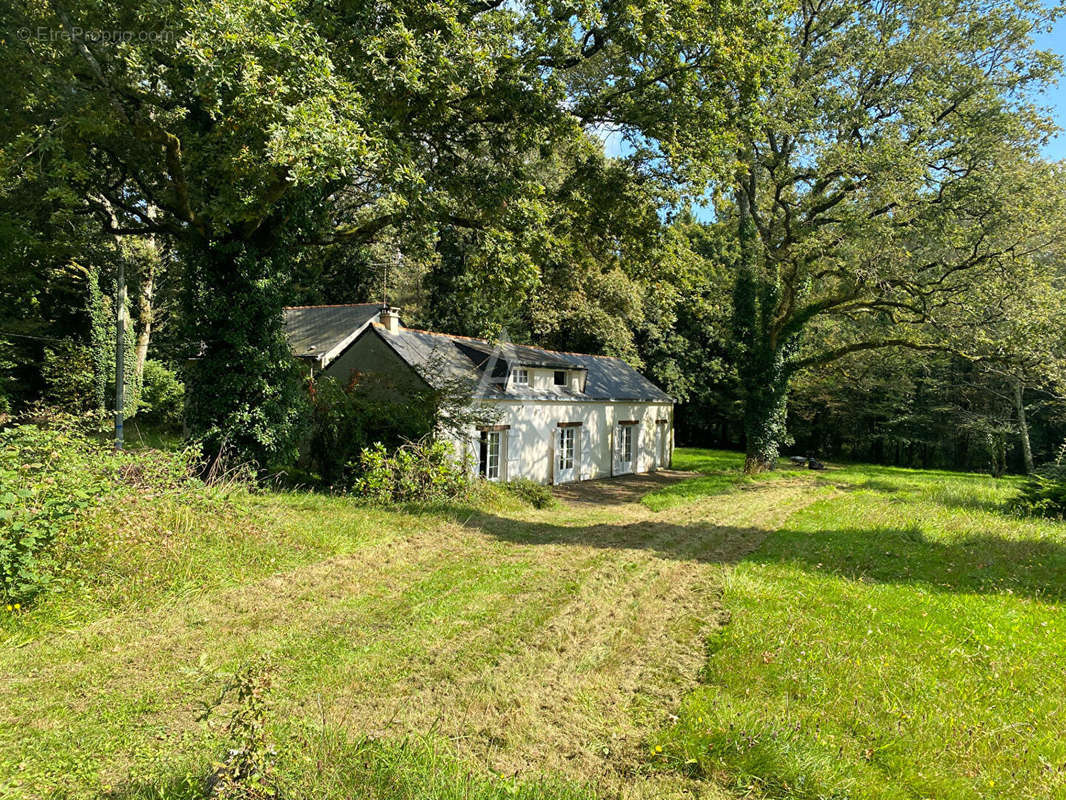 Maison à BLAIN