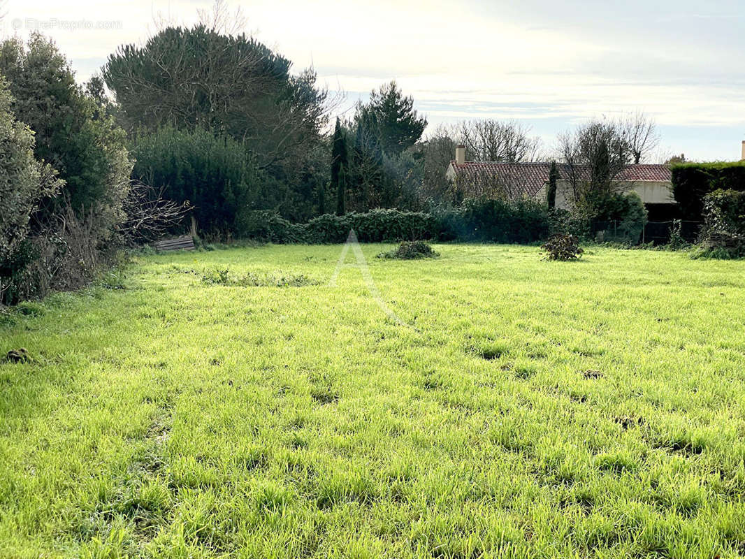 Terrain à SAINT-BENOIST-SUR-MER