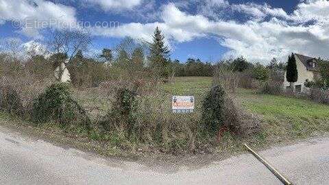 Photo 3 - Terrain à PONT-SUR-YONNE